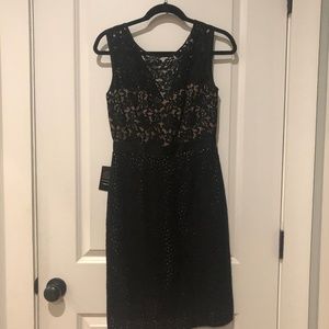 BCBG Max Azria Black and Nude Lace Dress